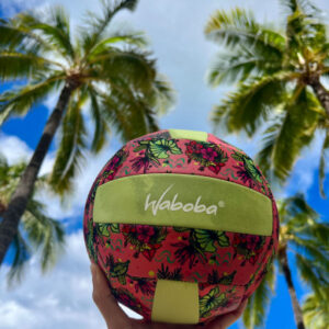 Beach Volleyball