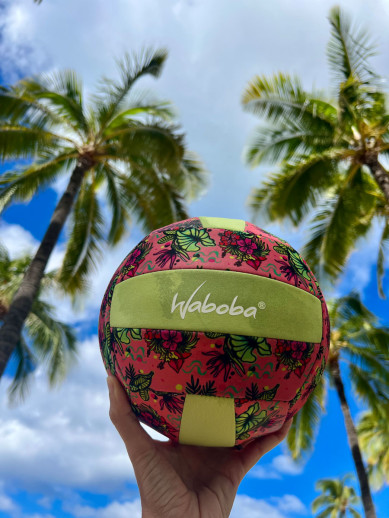 Beach Volleyball
